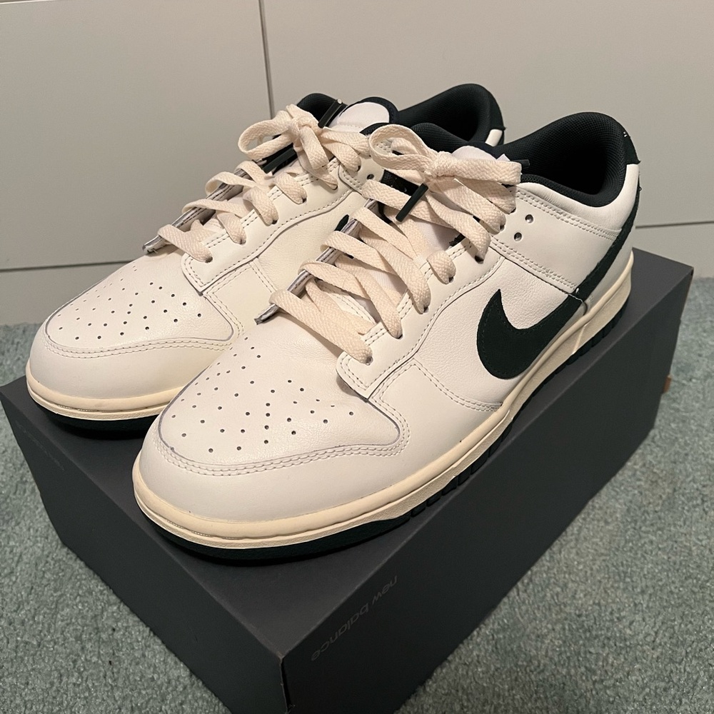 Nike Dunk Lows “Athletic Department - Deep Jungle” Size 11